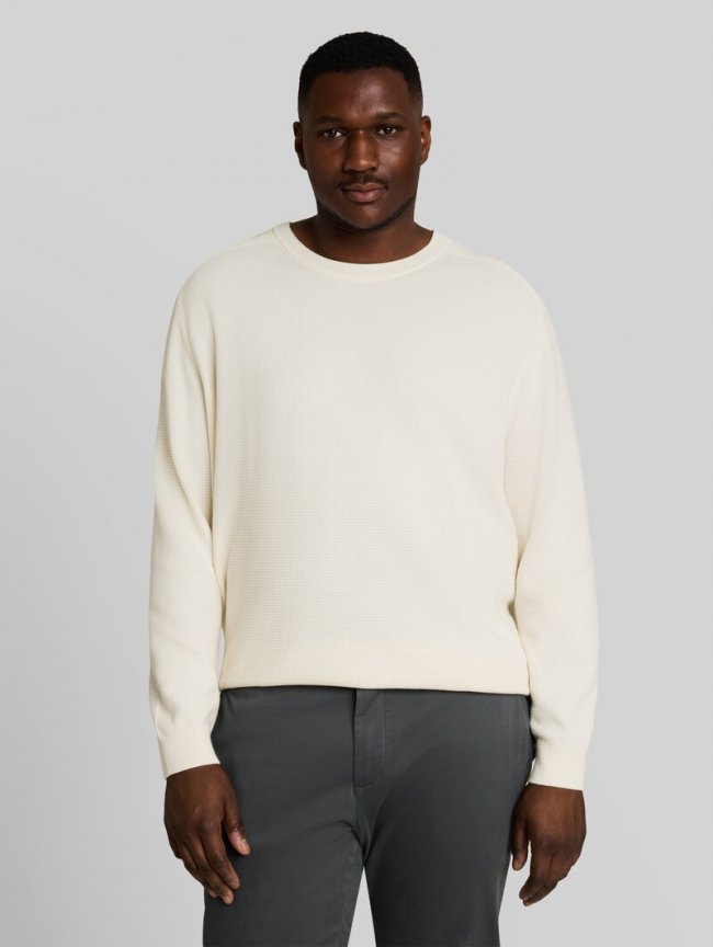 Tom Tailor Plus Size - Strickpullover aus Baumwolle - Gardenia White