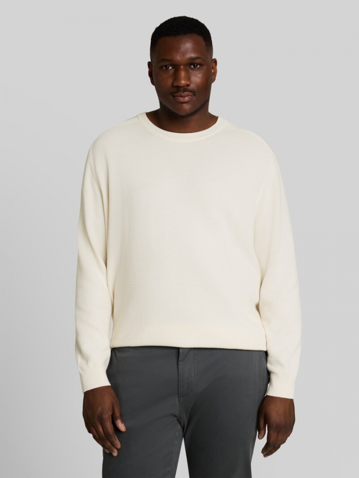 Tom Tailor Plus Size - Strickpullover aus Baumwolle - Gardenia White Tom Tailor Plus Size - Strickpullover aus Baumwolle - Gardenia White