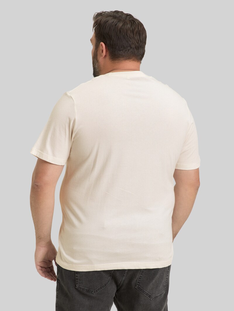 Tom Tailor Plus Size - T-Shirt mit Fotoprint - Gardenia White