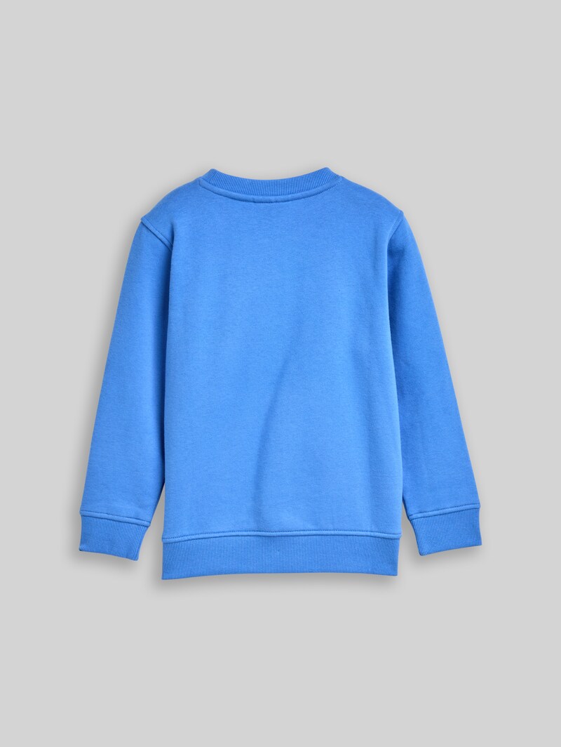 Tom Tailor Sweatshirt mit Print - Soft Mid Blue Tom Tailor Sweatshirt mit Print - Soft Mid Blue