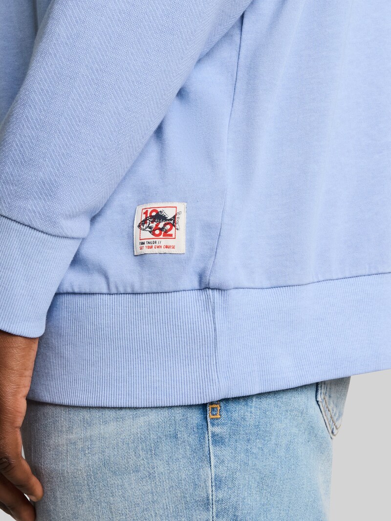 Tom Tailor Plus Size - Sweatshirt im Used-Look - Pale Blue