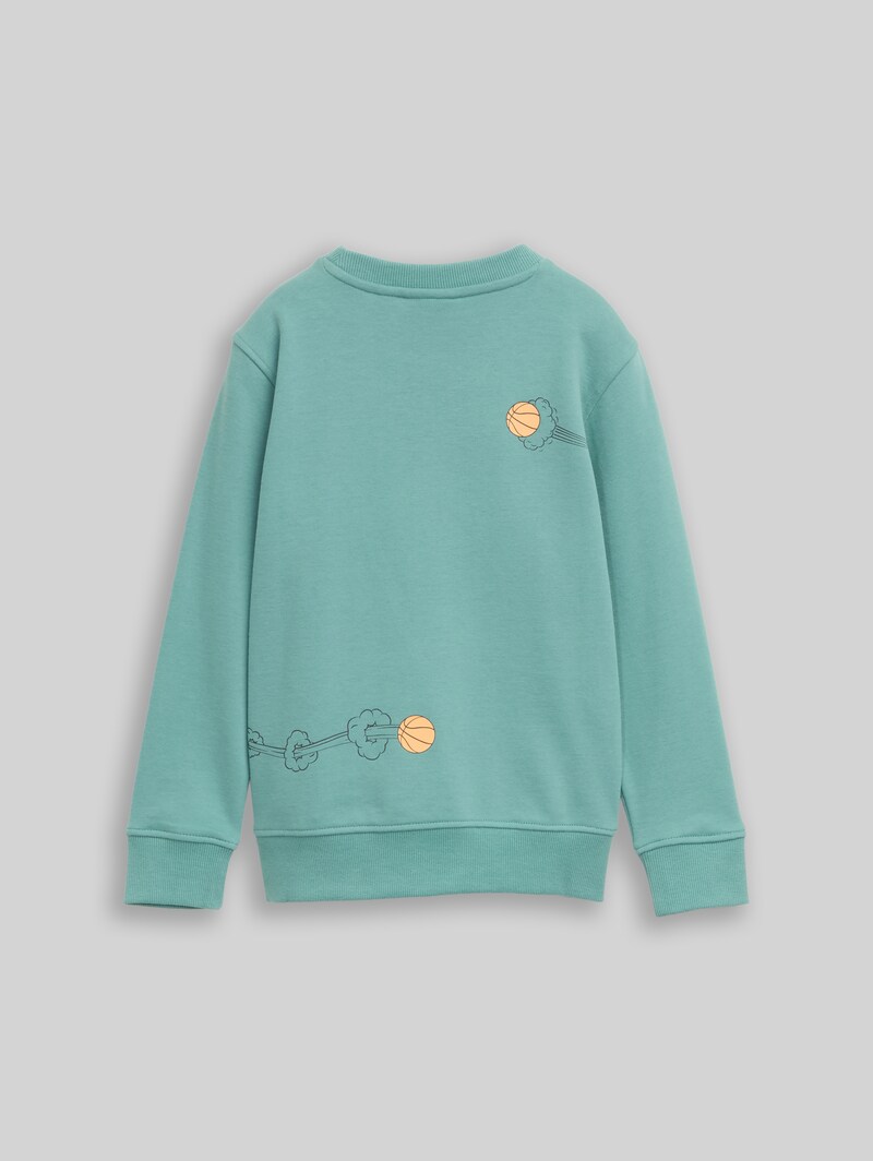 Tom Tailor Glow-in-the-Dark Sweatshirt mit Rückenprint - Salvia Tom Tailor Glow-in-the-Dark Sweatshirt mit Rückenprint - Salvia