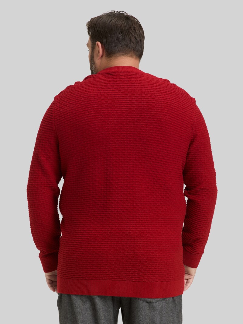 Tom Tailor Plus Size - Strickpullover mit Rundhalsausschnitt - Coach Red
