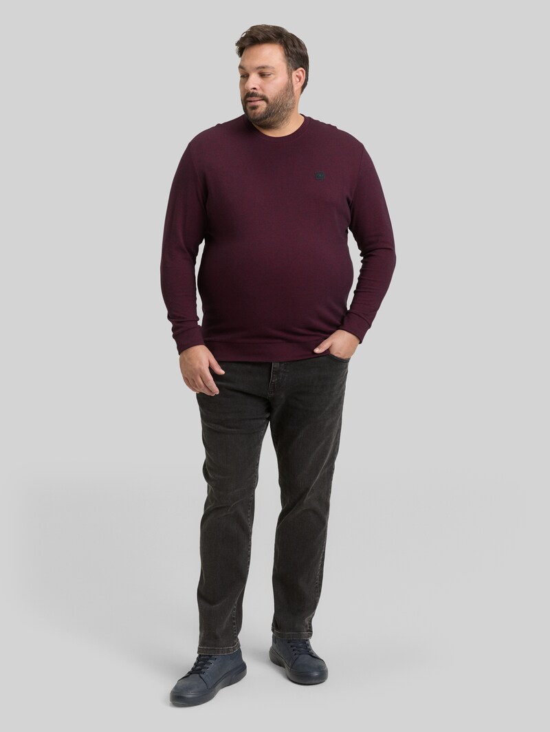 Tom Tailor Plus Size - Langarmshirt mit Logo-Badge - Red Navy Grindle Structure
