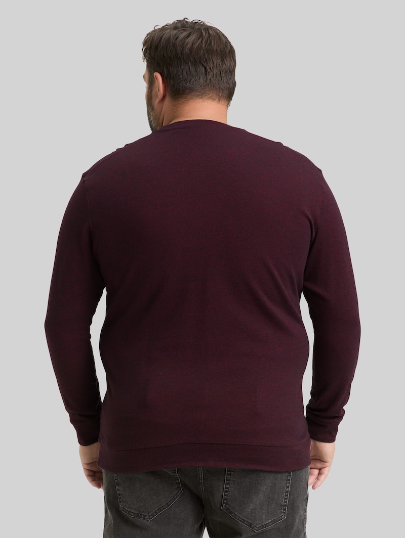 Tom Tailor Plus Size - Langarmshirt mit Logo-Badge - Red Navy Grindle Structure