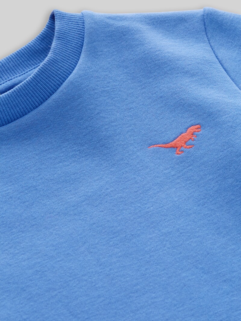 Tom Tailor Basic Sweatshirt mit Print - Soft Mid Blue