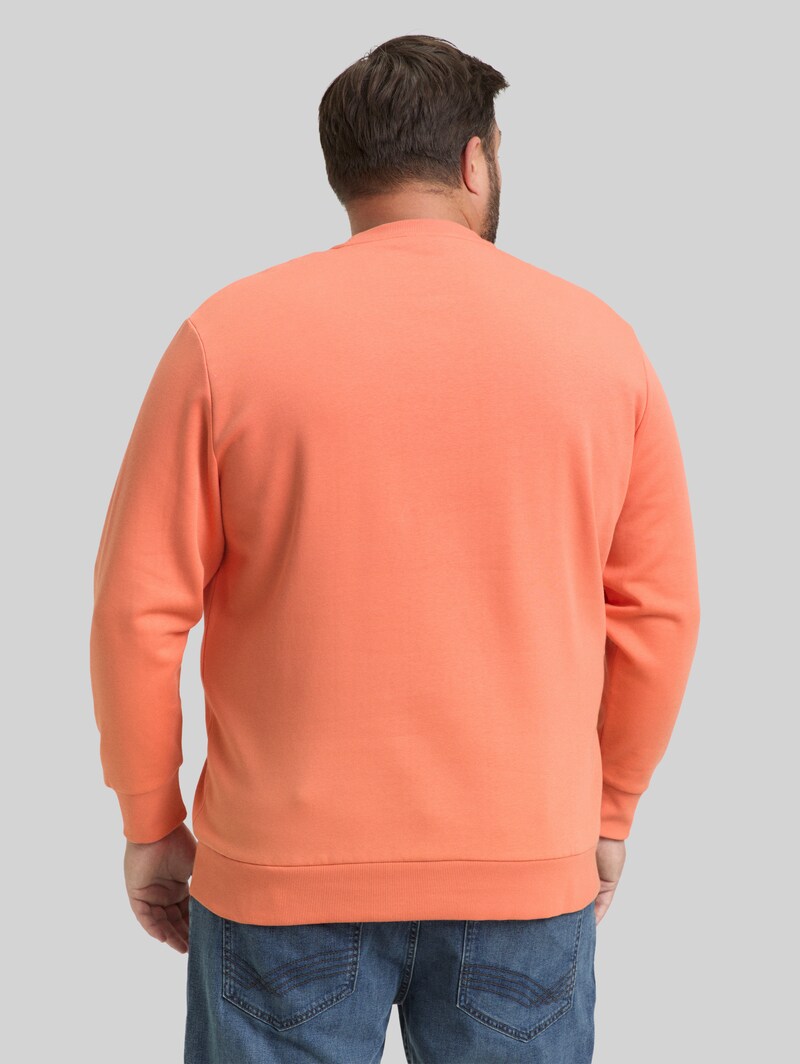 Tom Tailor Plus Size - Sweatshirt mit Logo-Print - Wild Coral