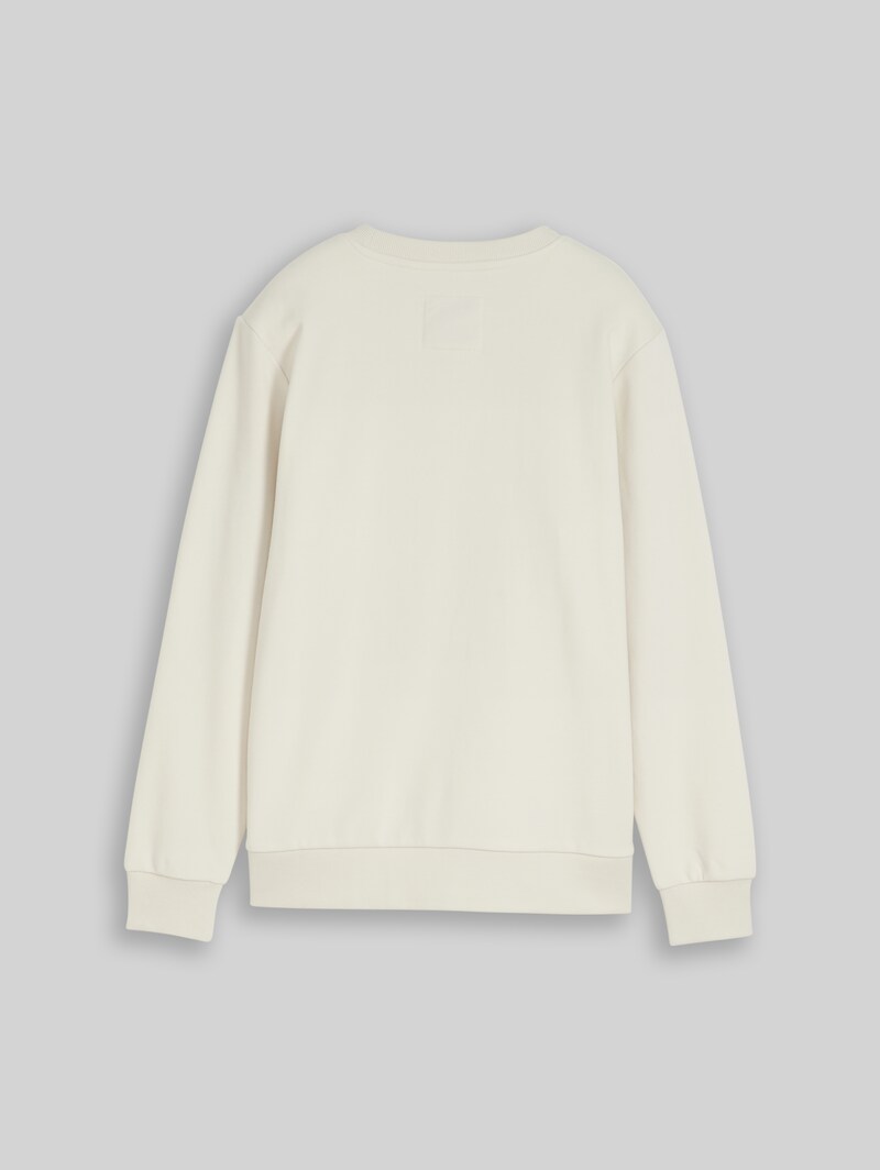 Tom Tailor Sweatshirt mit reflektierendem Print - Greyish White Tom Tailor Sweatshirt mit reflektierendem Print - Greyish White