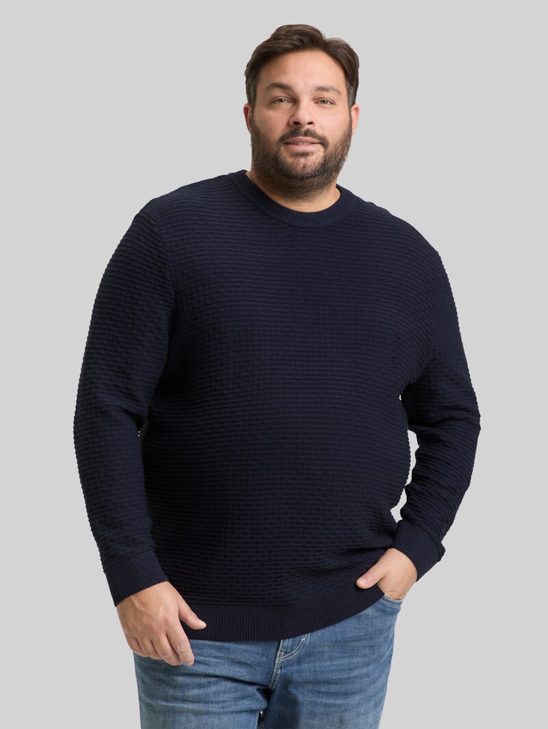 Tom Tailor Plus Size - Strickpullover mit Rundhalsausschnitt - Sky Captain Blue Tom Tailor Plus Size - Strickpullover mit Rundhalsausschnitt - Sky Captain Blue