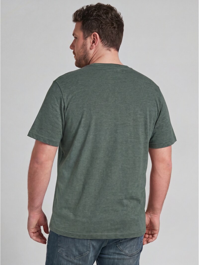 Tom Tailor Plus Size - T-Shirt mit Print - Mint Olive Injected Stripe