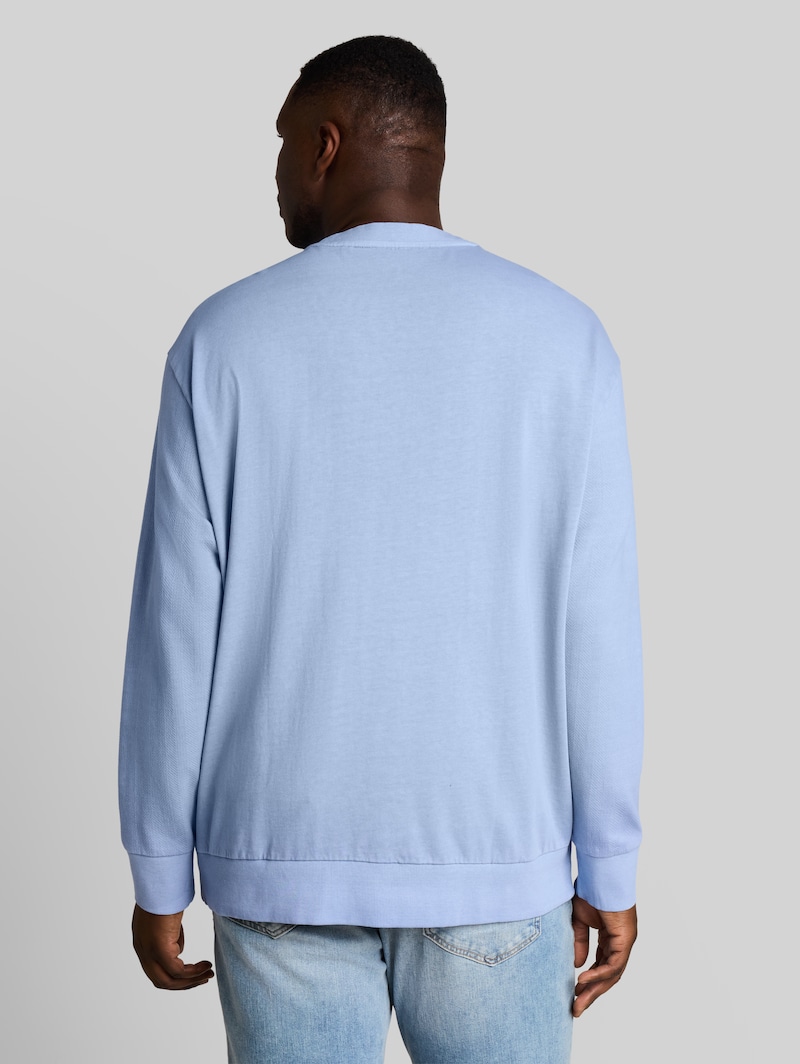 Tom Tailor Plus Size - Sweatshirt im Used-Look - Pale Blue