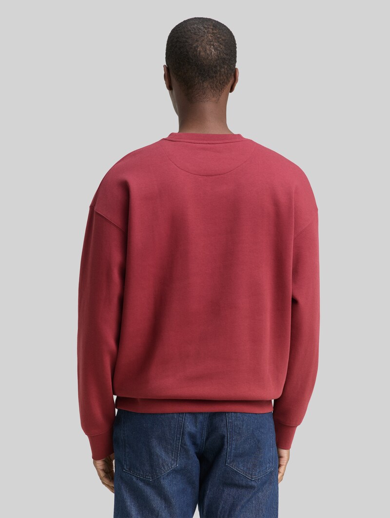 Tom Tailor Relaxed Sweatshirt mit Logo-Print - Burnt Russet