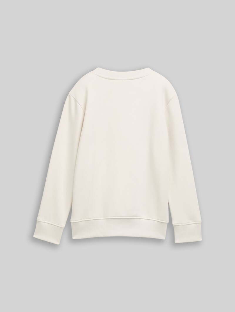 Tom Tailor Sweatshirt mit Print - Greyish White Tom Tailor Sweatshirt mit Print - Greyish White