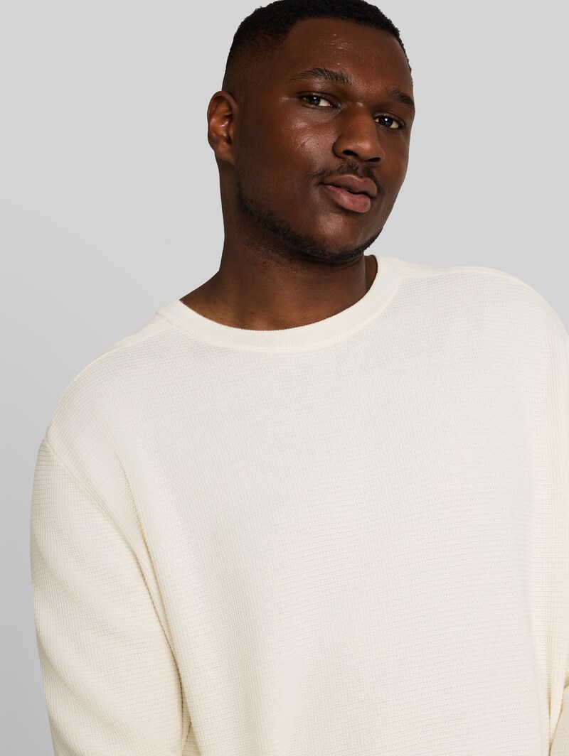 Tom Tailor Plus Size - Strickpullover aus Baumwolle - Gardenia White